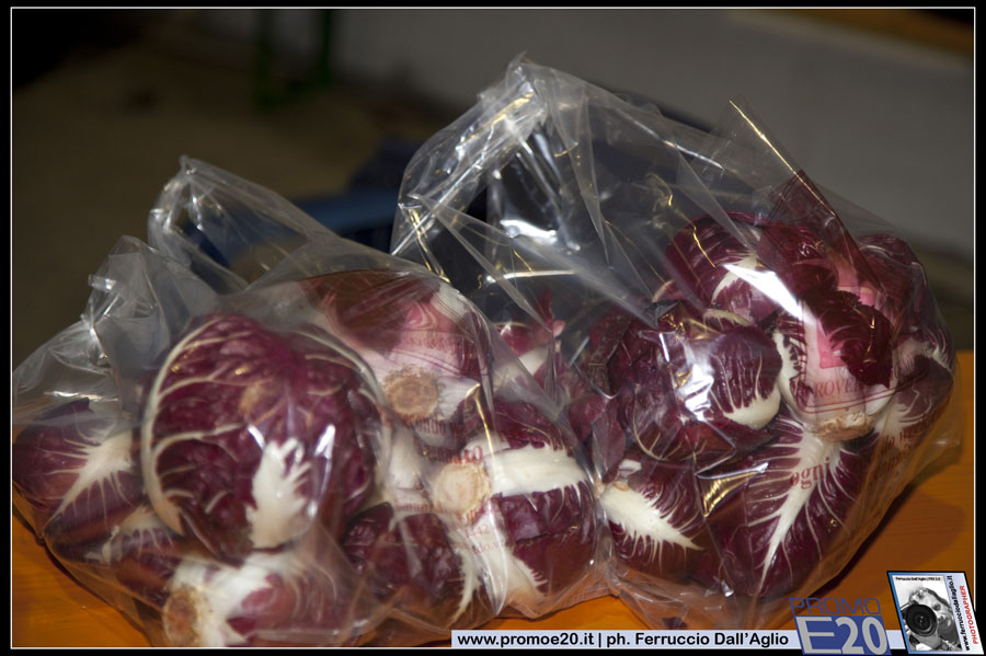 FieraDelRadicchio-2010-0617