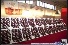 FieraDelRadicchio-2010-0568