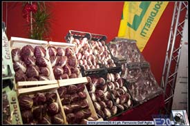 FieraDelRadicchio-2010-0609