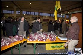 FieraDelRadicchio-2010-0616