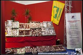 FieraDelRadicchio-2010-0762