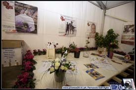 FieraDelRadicchio-2010-0799