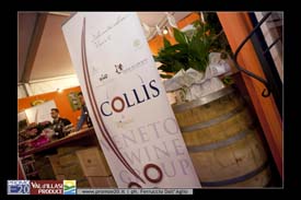Val_d'Illasi_Produce_2011_Caldiero-0789