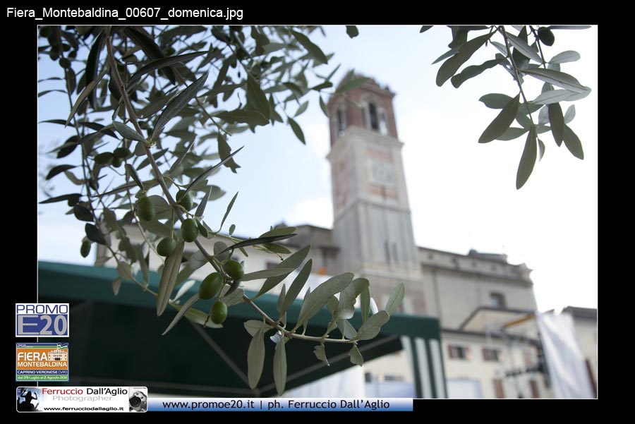 Fiera_Montebaldina_00607_domenica