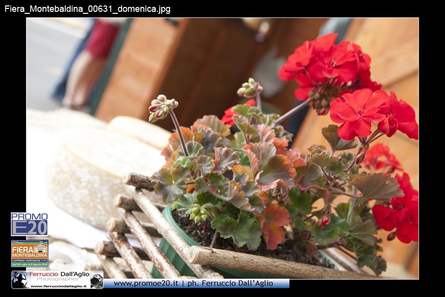 Fiera_Montebaldina_00631_domenica