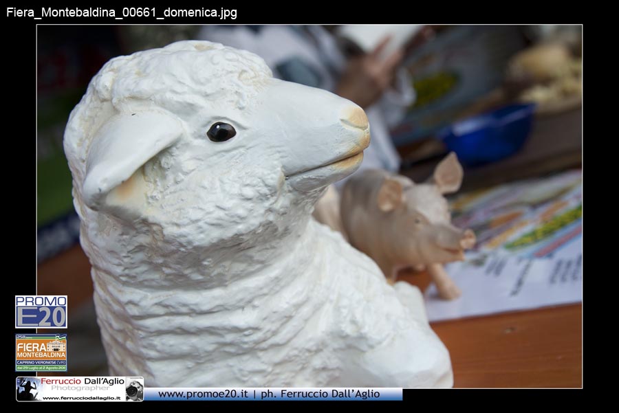 Fiera_Montebaldina_00661_domenica