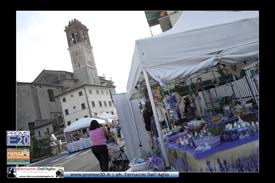Fiera_Montebaldina_00603_domenica