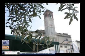 Fiera_Montebaldina_00607_domenica