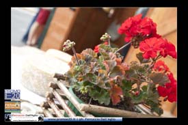 Fiera_Montebaldina_00631_domenica