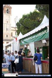 Fiera_Montebaldina_00644_domenica