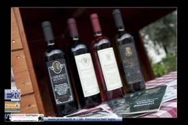 Fiera_Montebaldina_00654_domenica