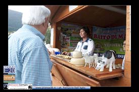 Fiera_Montebaldina_00660_domenica