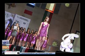 Fiera_Montebaldina_00857_lun