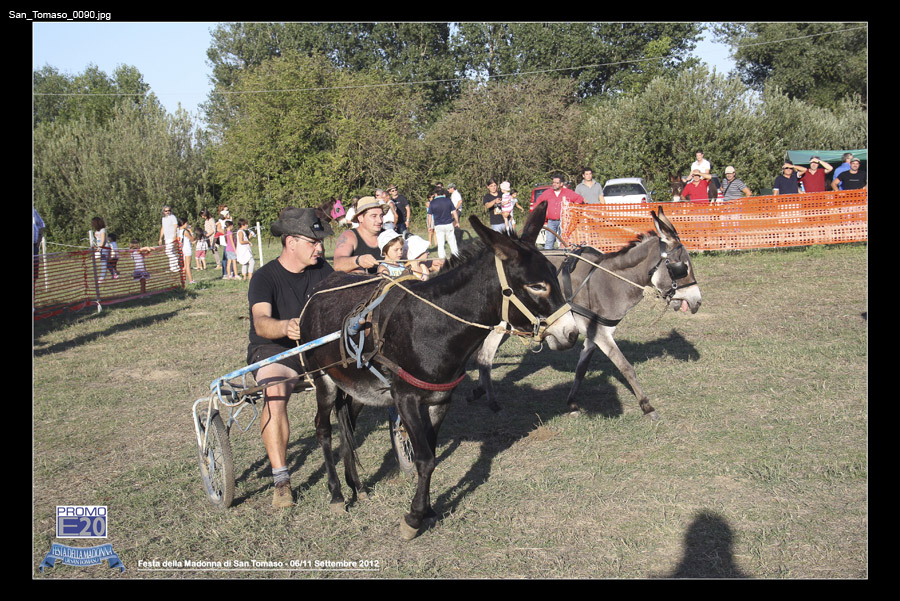 San_Tomaso_0090