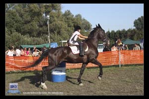 San_Tomaso_0082