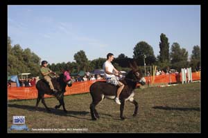San_Tomaso_0089