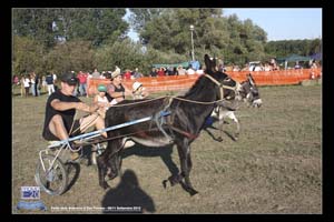San_Tomaso_0091