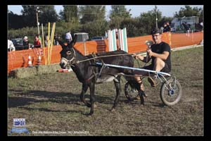 San_Tomaso_0095