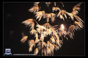 San_Tomaso_0139