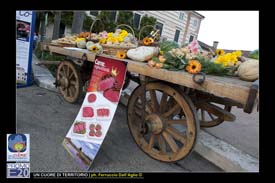 Un_Cuore_Di_Territorio_0007_Cologna_Veneta_20_giu_2012