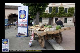 Un_Cuore_Di_Territorio_0012_Cologna_Veneta_20_giu_2012
