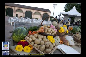 Un_Cuore_Di_Territorio_0022_Cologna_Veneta_20_giu_2012