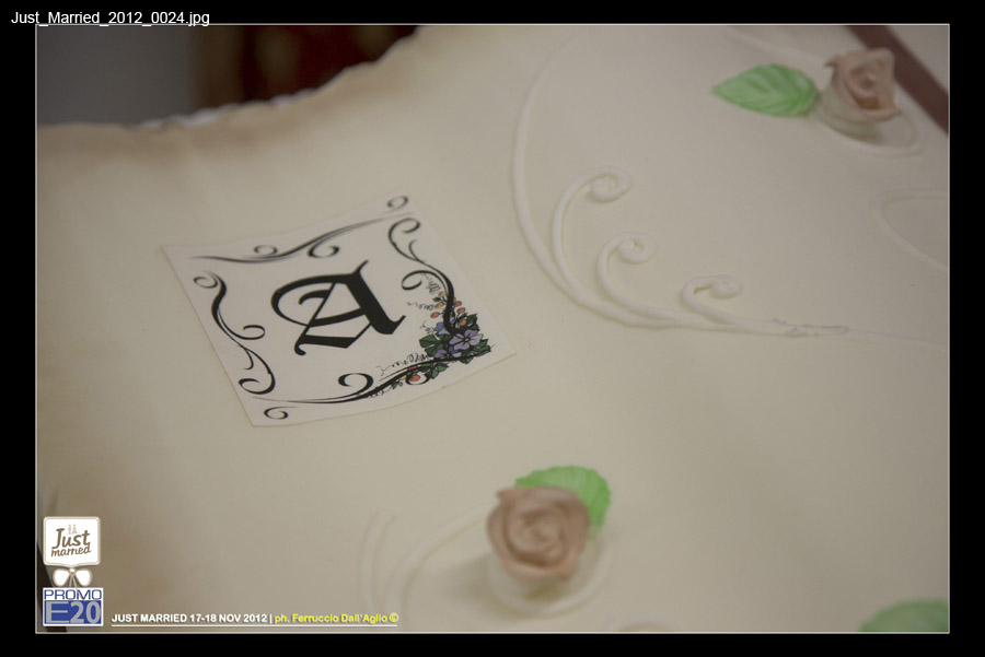 Just_Married_2012_0024