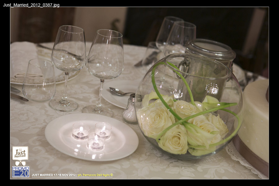 Just_Married_2012_0387