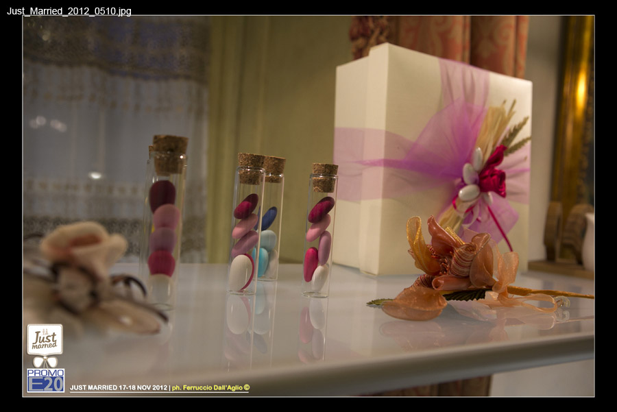 Just_Married_2012_0510