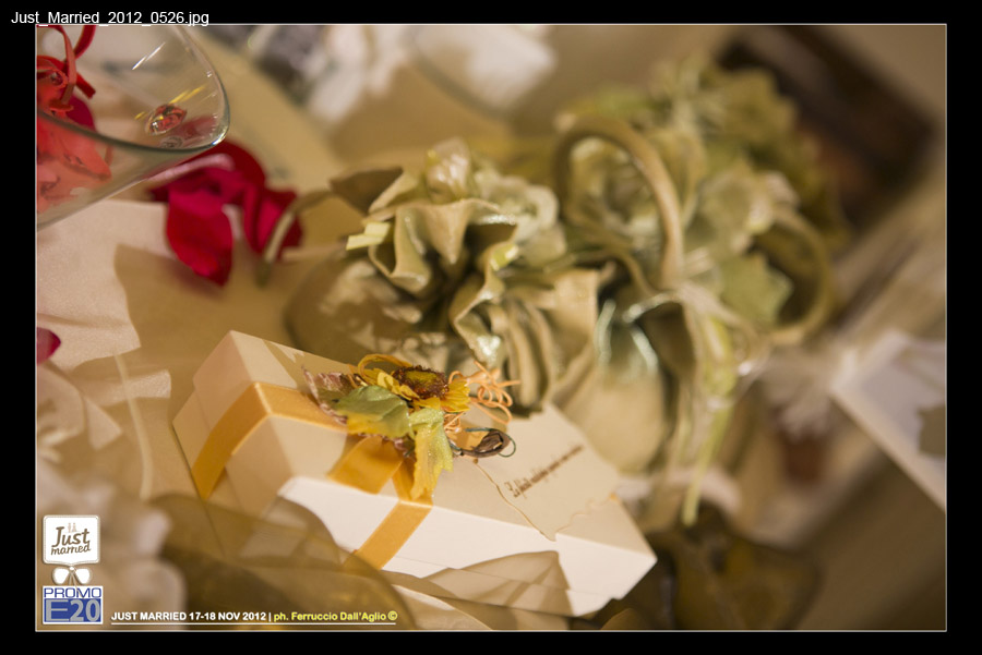Just_Married_2012_0526