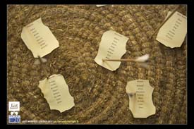 Just_Married_2012_0041