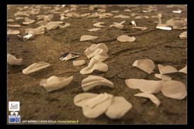 Just_Married_2012_0679