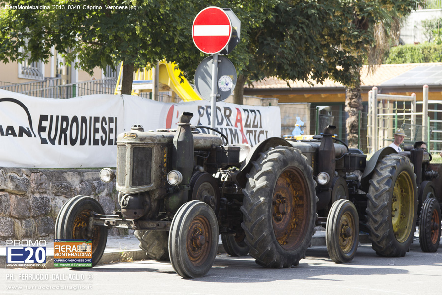 FieraMontebaldina_2013_0340_Caprino_Veronese