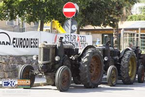 FieraMontebaldina_2013_0340_Caprino_Veronese