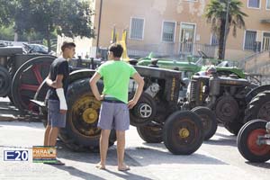 FieraMontebaldina_2013_0350_Caprino_Veronese