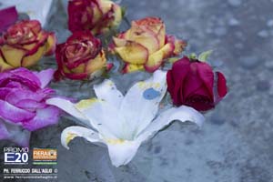 FieraMontebaldina_2013_0561_Caprino_Veronese