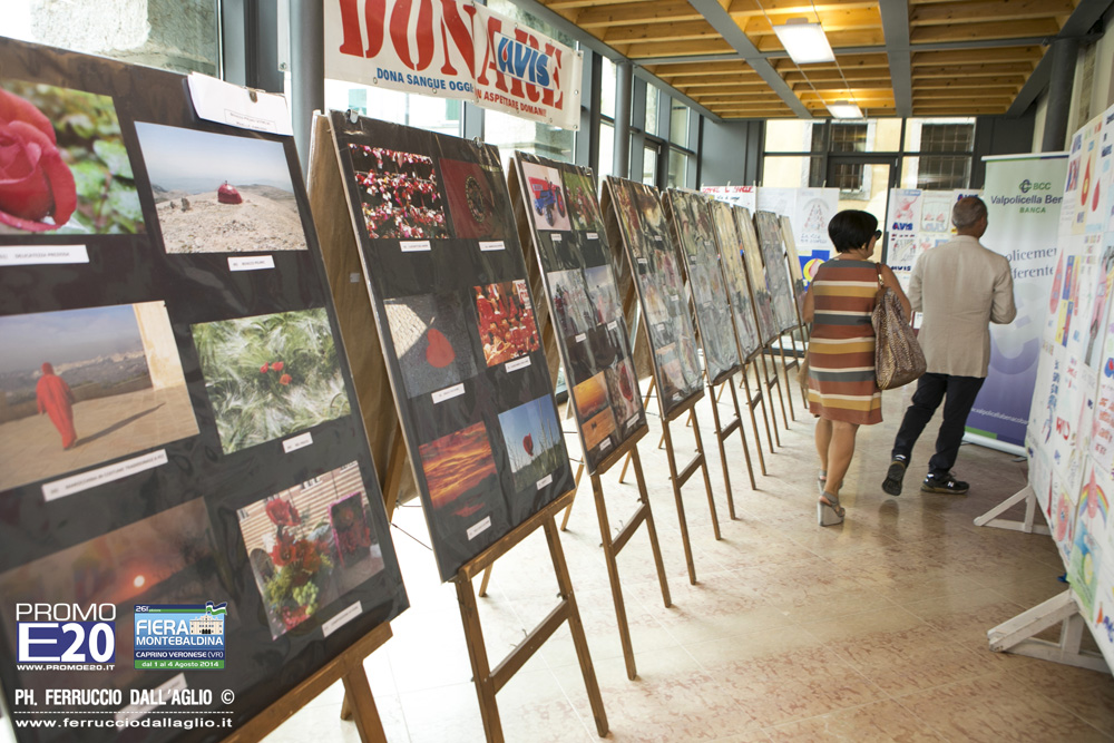 2014_005408_Fiera_Montebaldina_2_Ago_2014