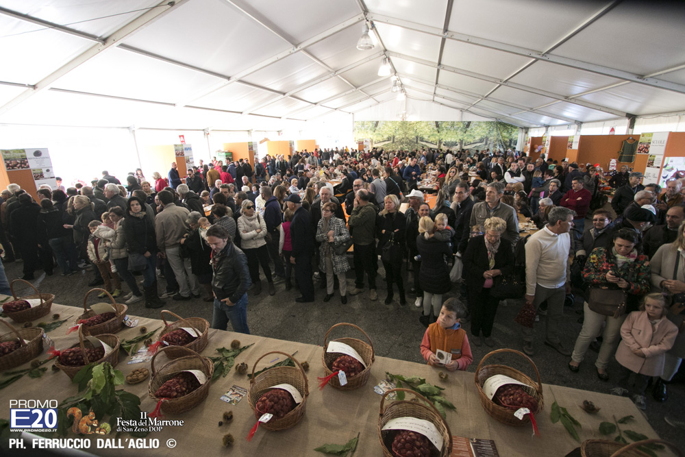 179_2014_010529_Festa_Del_Marrone_0429