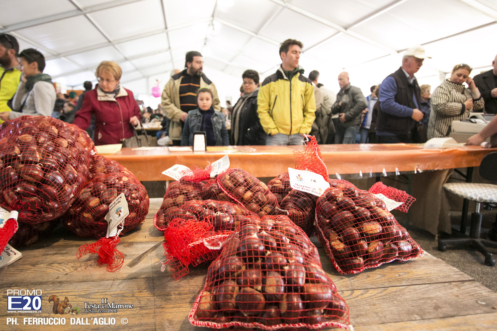 200_2014_010550_Festa_Del_Marrone_0450