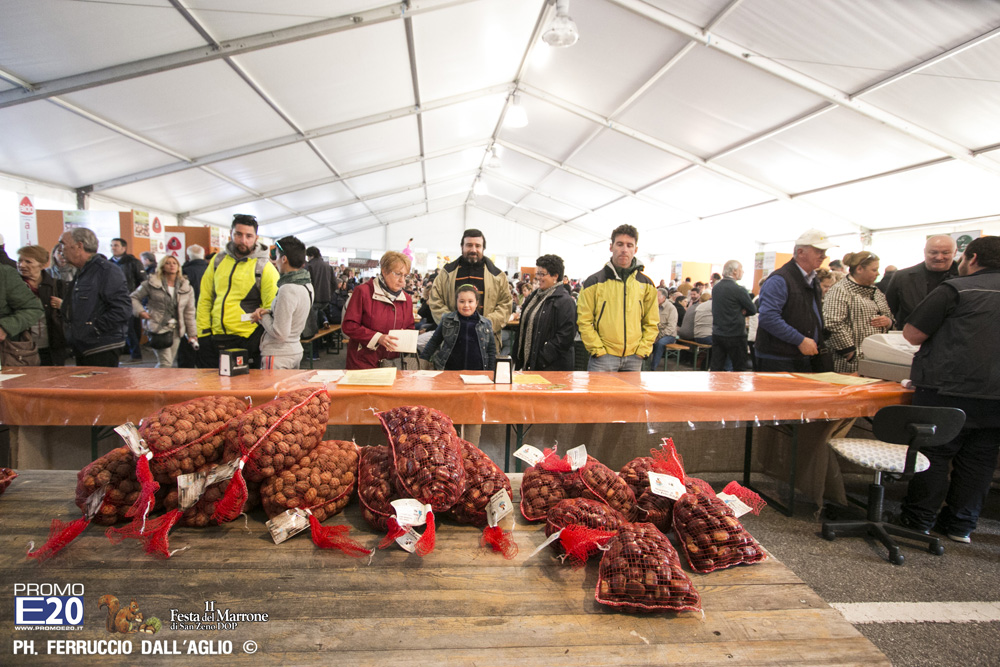203_2014_010553_Festa_Del_Marrone_0453