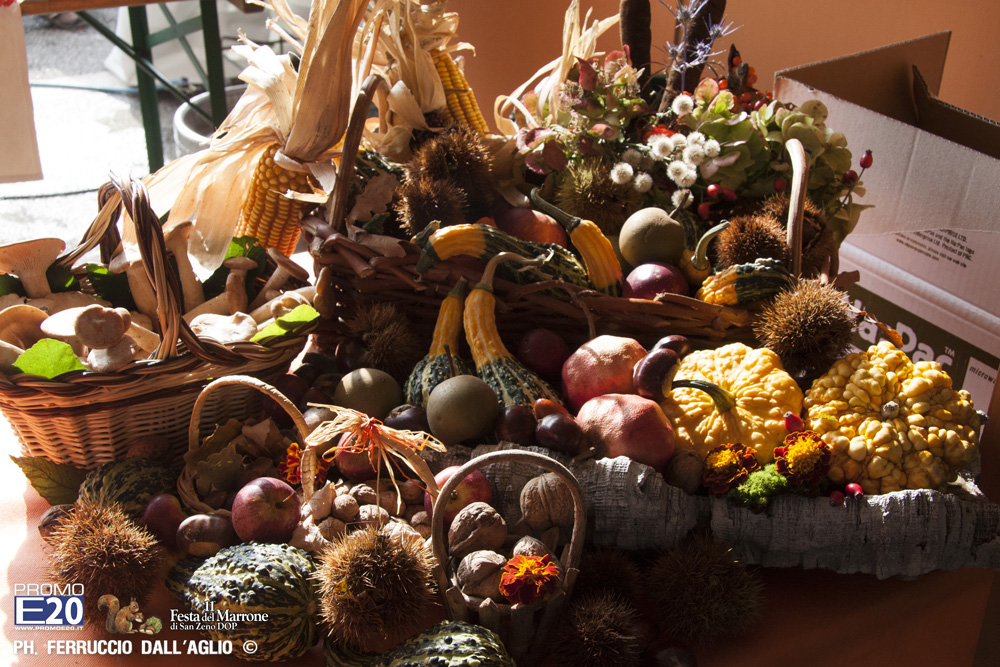 580_2014_010156_Festa_Del_Marrone_0056