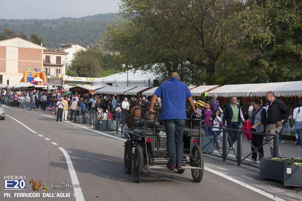 731_2014_010316_Festa_Del_Marrone_0216