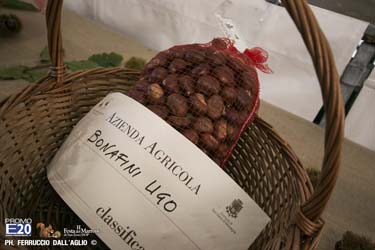 138_2014_010488_Festa_Del_Marrone_0388