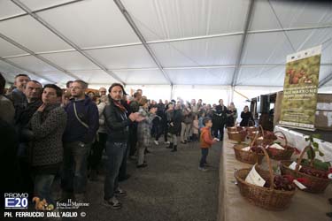 188_2014_010538_Festa_Del_Marrone_0438