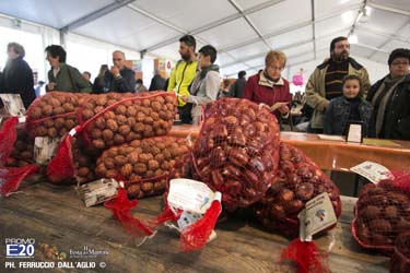 201_2014_010551_Festa_Del_Marrone_0451
