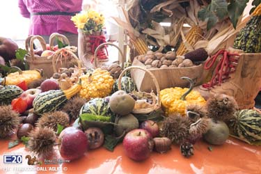209_2014_010559_Festa_Del_Marrone_0459