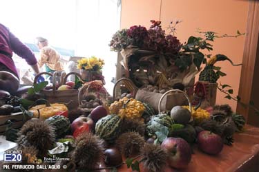 211_2014_010561_Festa_Del_Marrone_0461