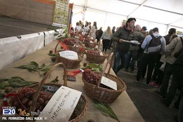 243_2014_010593_Festa_Del_Marrone_0493