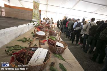 244_2014_010594_Festa_Del_Marrone_0494