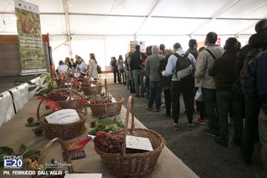 245_2014_010595_Festa_Del_Marrone_0495